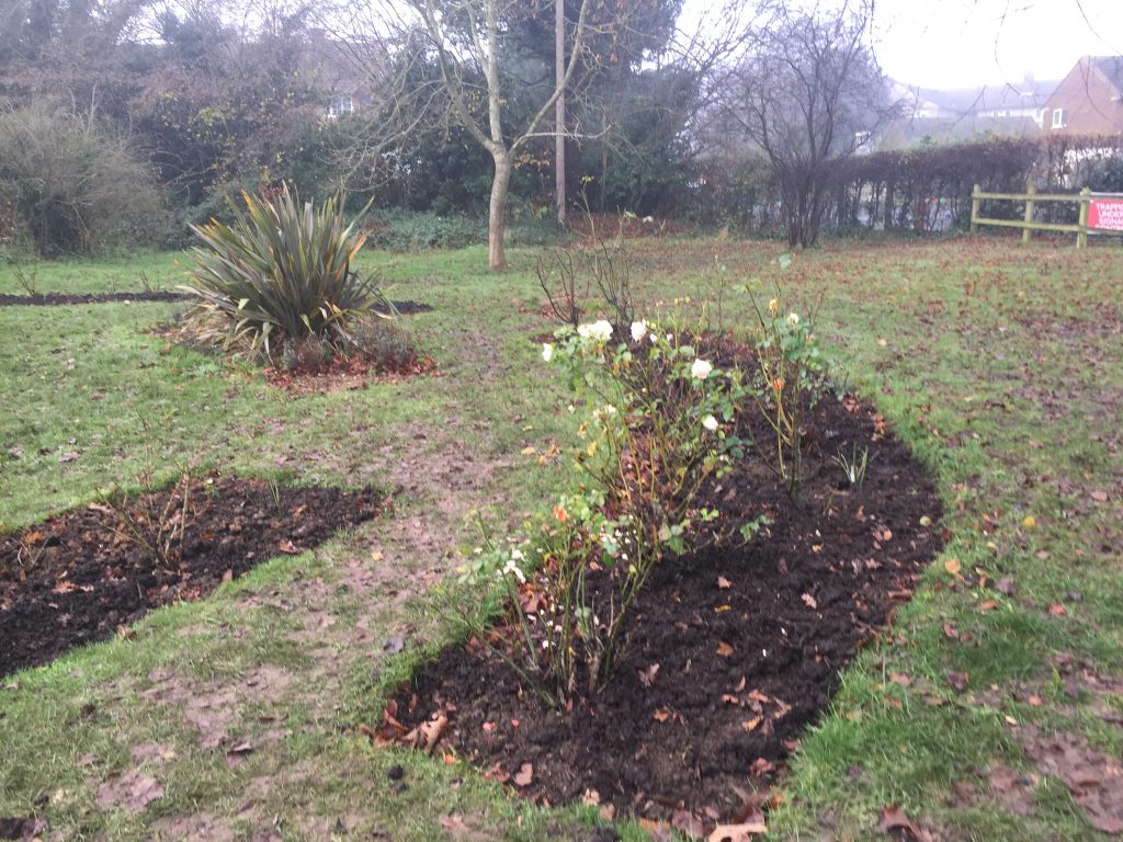 Nov 2020 4